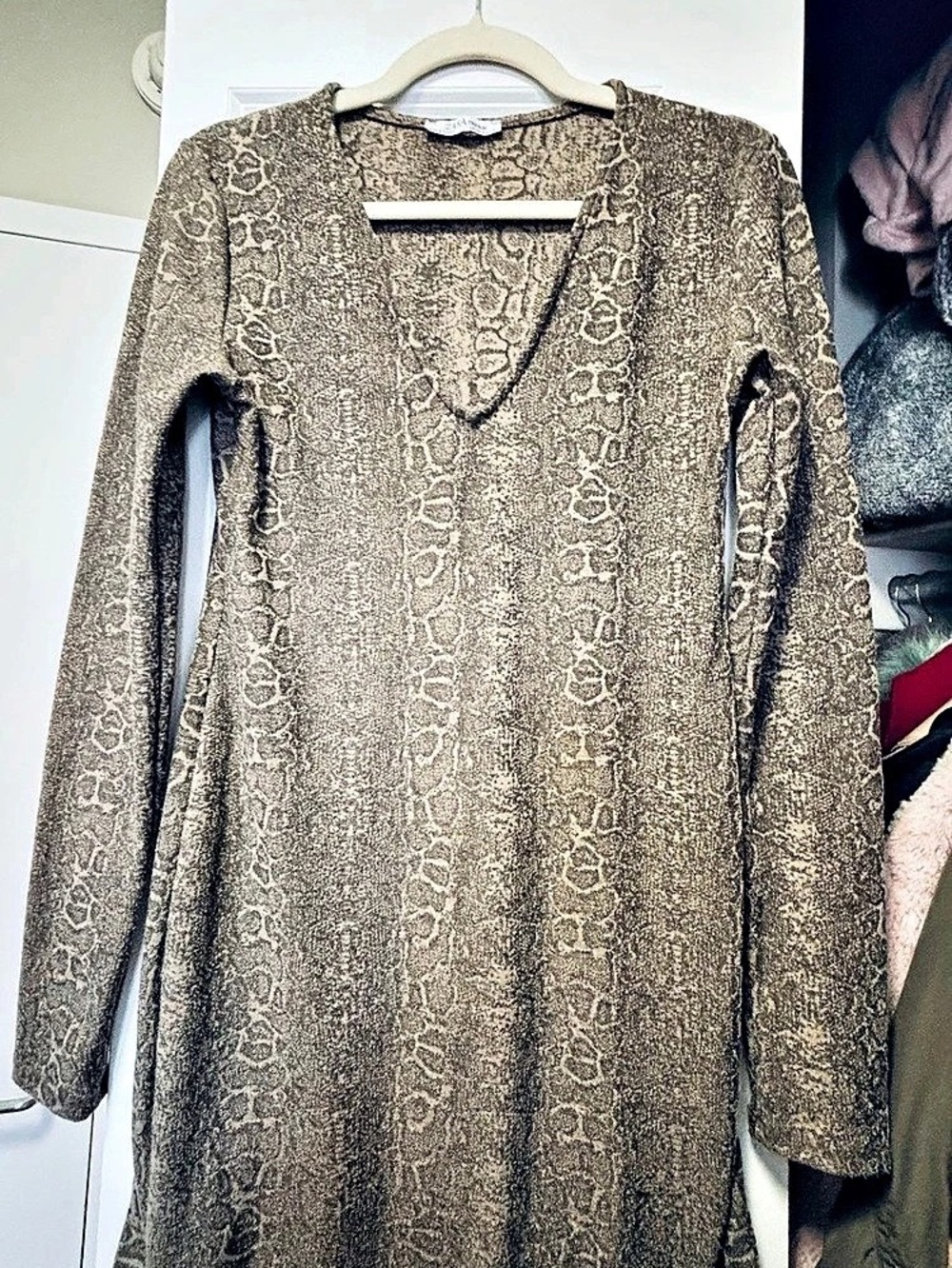 Zara Animal Print Long Sleeve Mini Dress in Brown